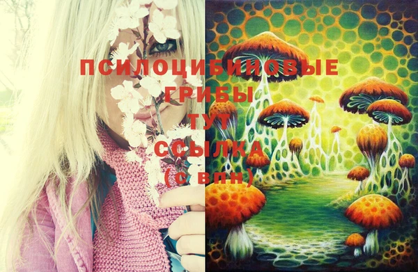 меф Армянск