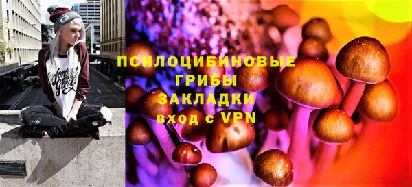 бошки Арсеньев